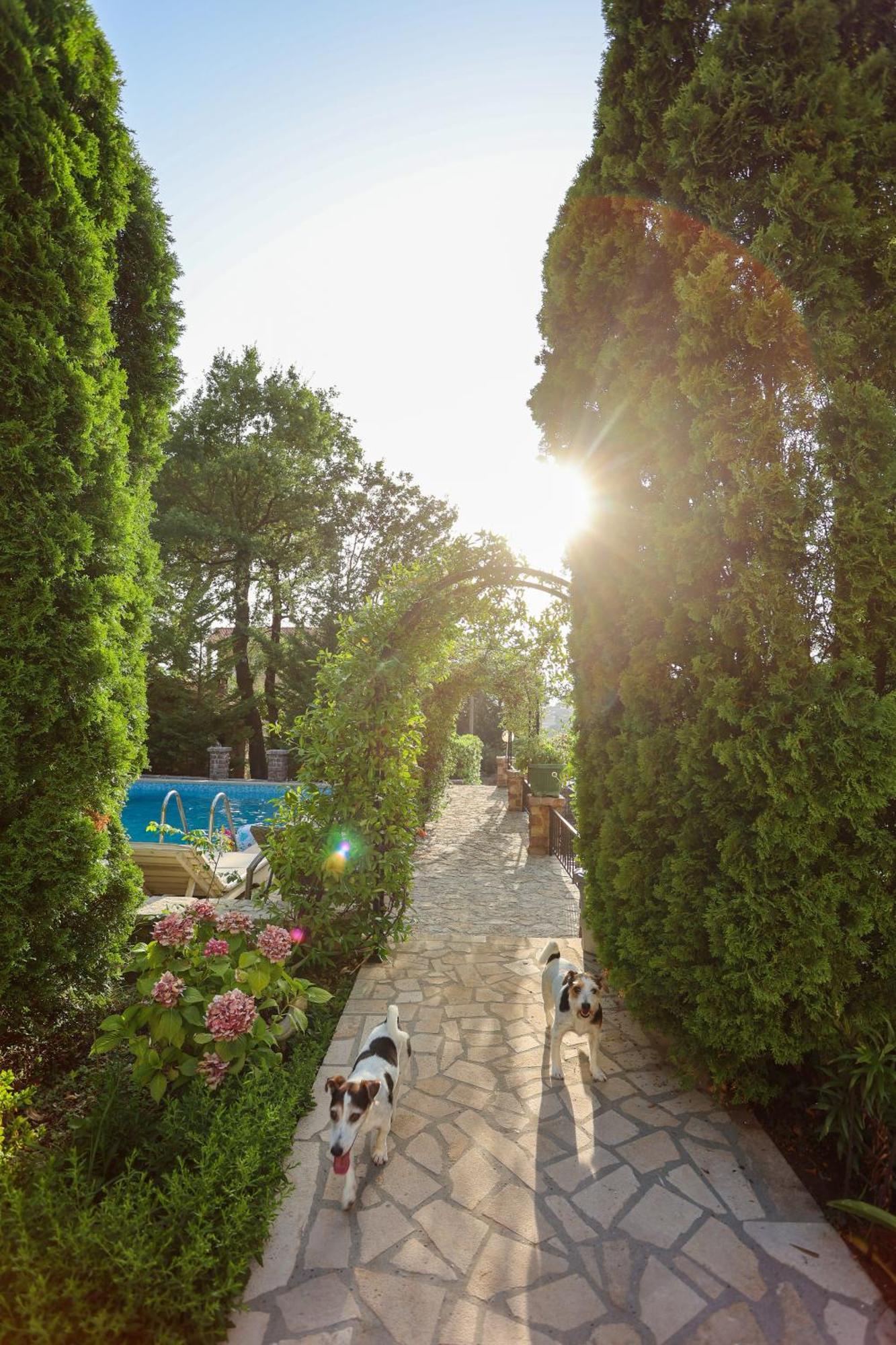 Villa Besha 헤르섹 외부 사진