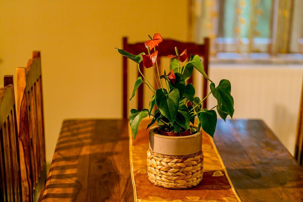 Villa Besha 헤르섹 외부 사진